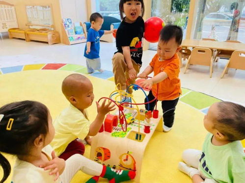 青島托育服務(wù)再升級 新增4851個托位，家庭互助式托育獲政府力推